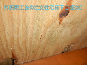 外断熱工法床下合板カビ