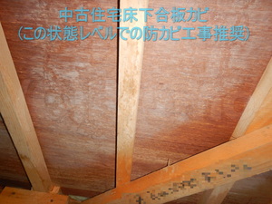 中古住宅床下木材合板カビ