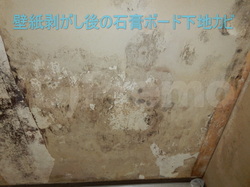 壁紙剥がした後の石膏ボード下地カビ