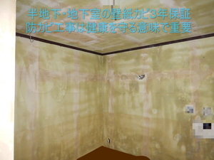 地下室壁紙カビ３年保証防カビ工事