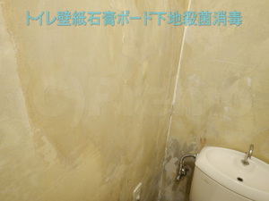 トイレ壁紙石膏ボード下地殺菌消毒