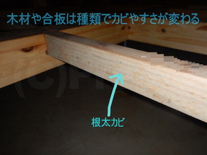 木材・合板にはカビやすい種類がある