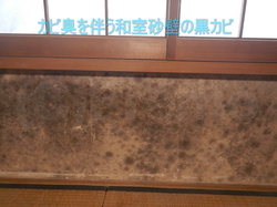 和室腰窓下に発生しやすい砂壁黒カビ