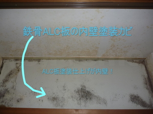 ALC板を内壁塗装後カビ発生