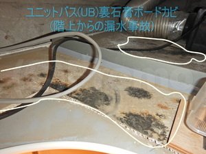 漏水によるユニットバス天井裏石膏ボードカビ