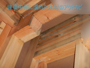 雨水による建築中注文住宅の木材カビ