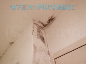 地下室汚れが拭ける壁紙カビ