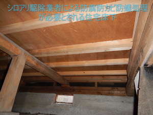 防腐防カビ防蟻処理をシロアリ駆除業者から勧められた住宅床下