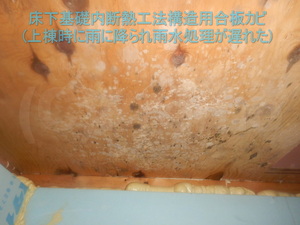 床下に雨水が溜まり構造用合板にカビ発生