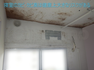 寝室天井に発生した塗装カビ