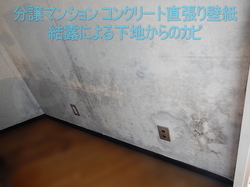 コンクリート直張り壁紙結露によるカビ
