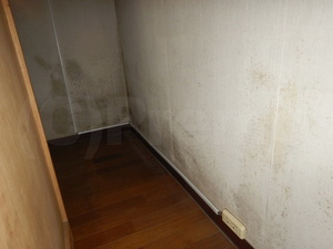 地下室カビ臭を伴う壁紙カビ