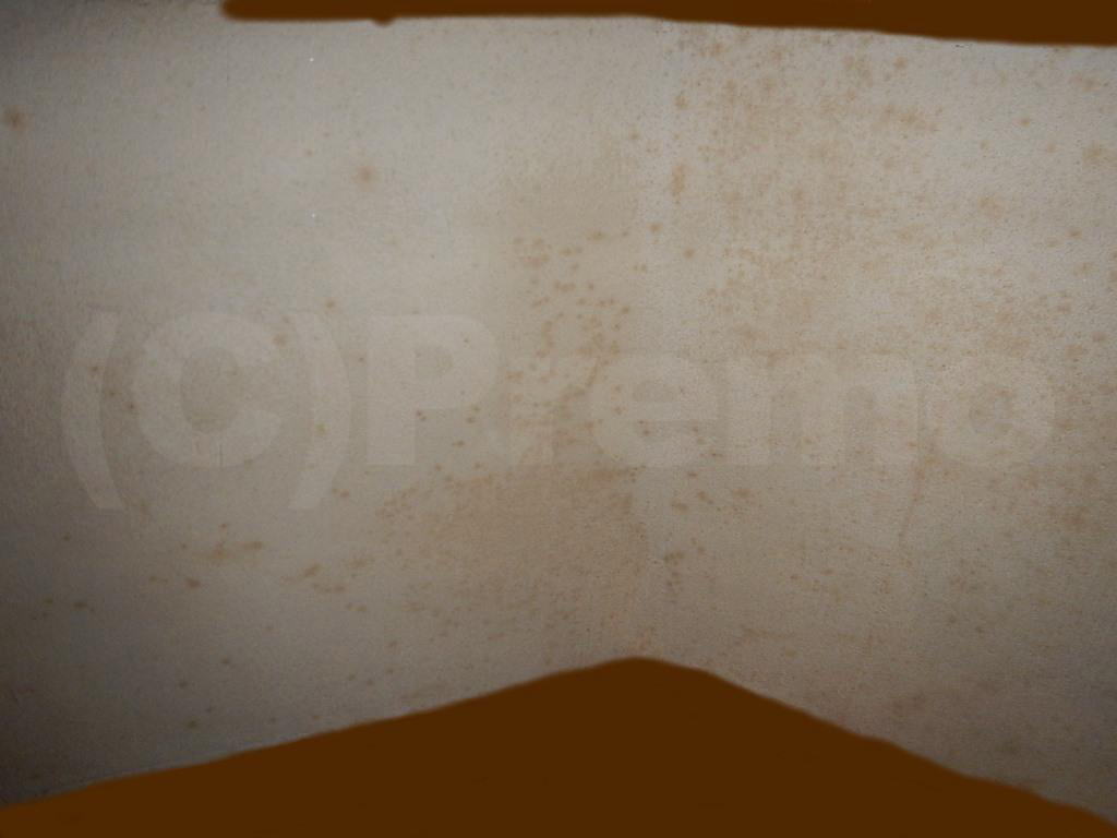 壁紙表面に塗った珪藻土がカビ臭い 有限会社プレモ 埼玉 東京の防カビ工事専門業者