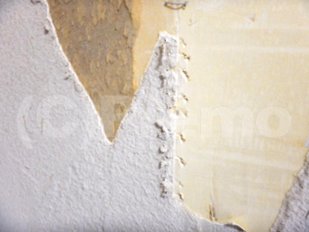 珪藻土は壁紙とコンクリートに直塗りはダメ 有限会社プレモ 埼玉 東京の防カビ工事専門業者