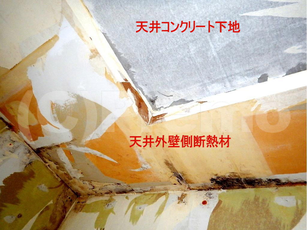 天井に断熱材を貼るのはお勧め出来ない 有限会社プレモ 埼玉 東京の防カビ工事専門業者