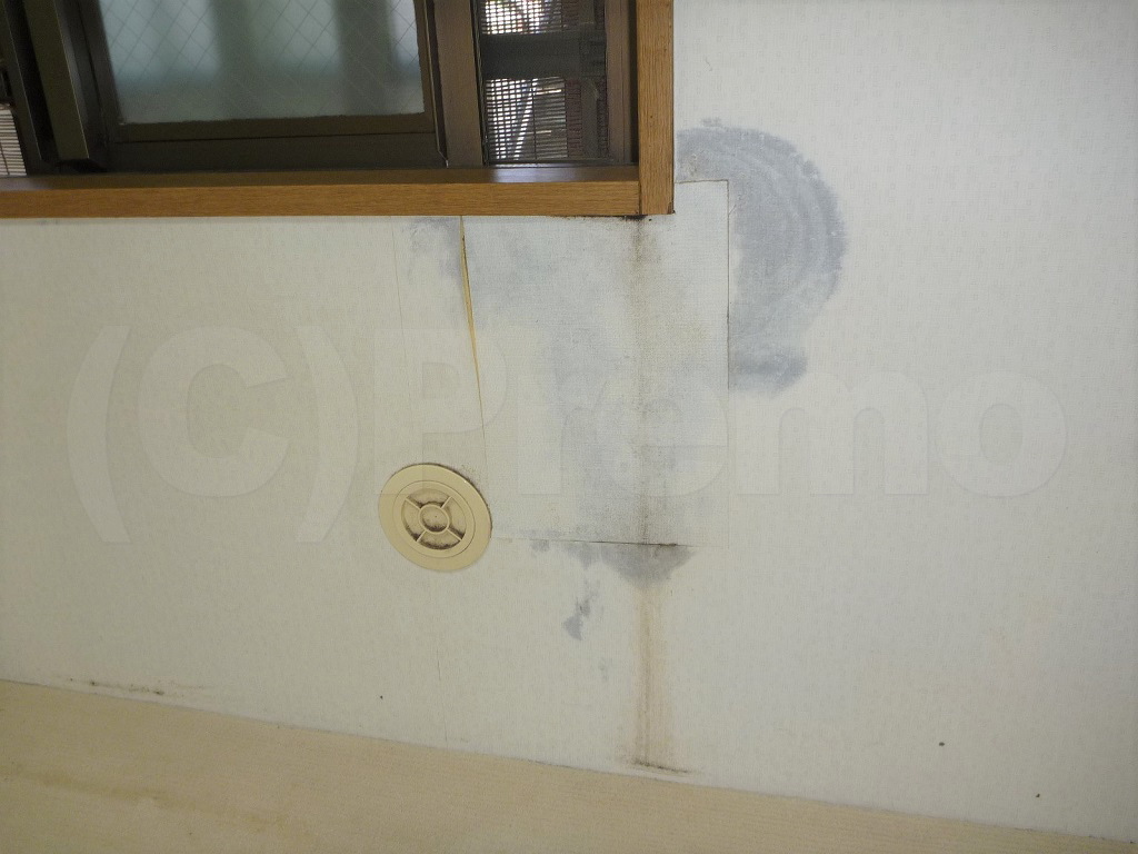 窓結露による壁紙下地カビは多い 有限会社プレモ 埼玉 東京の防カビ工事専門業者