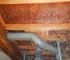 【スポット防カビ工事】トイレ床下木材合板はカビやすいの画像