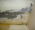 天井壁紙コンクリート下地の結露カビの対応は？の画像