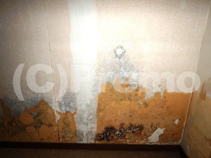 湿気の逃げない部屋の壁紙下地のカビ