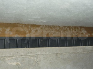 在来工法の新築床下のカビ