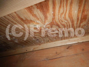 早期の床下防カビ工事は家をカビから守ります