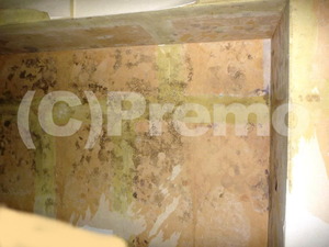 地下室壁石膏ボードのカビ