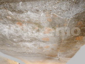 漏水事故後コンクリート躯体に発生しているカビ