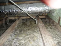 給湯管からの漏水で天井裏にカビ大発生