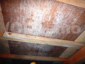 床下に発生しているカビは防カビ工事で対応