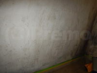 室内塗装壁防カビ工事前