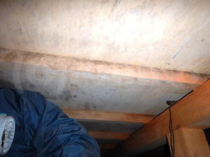 床下防カビ工事は冬でも対応しています