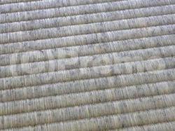 湿気の多い時期や場所で発生し易い畳のカビ