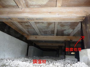 戸建床下の大量のカビ
