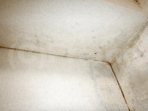 コンクリート下地の結露による壁紙のカビ