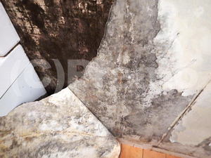 壁紙コンクリート下地のカビ