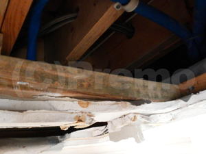 漏水事故後天井裏木材のカビ