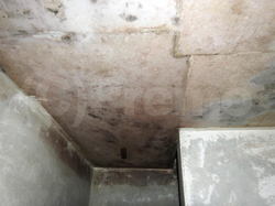 地下室コンクリート天井のカビ