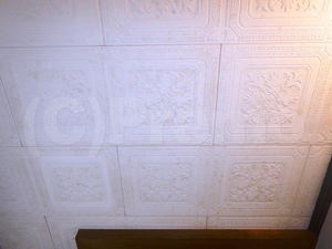 玄関化粧ジプトン天井のカビ