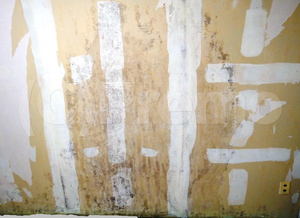 壁紙石膏ボード下地のカビ