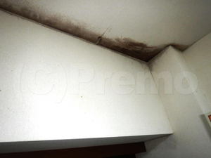 結露による天井壁紙のカビ