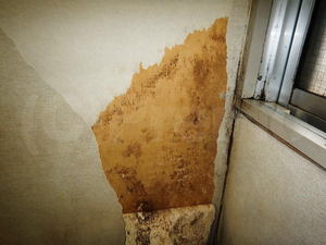 窓際壁紙下地のカビ