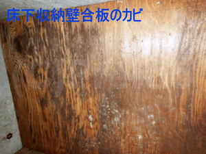 床下収納壁合板のカビ