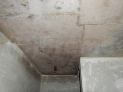 地下室コンクリートカビ