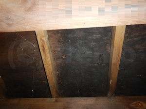 床下合板黒カビ