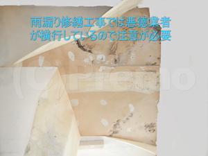 屋上からの雨漏りによる天井カビ