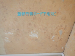 壁紙剥がし後の石膏ボード下地カビ