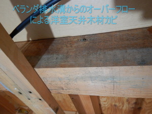 ベランダ漏水事故後の洋室天井木材カビ