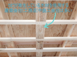 カビが発生している木材を利用する注文住宅