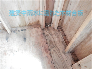 建築中雨水に濡れた注文住宅木材合板