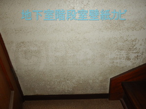 地下室に向かう際の階段室壁紙カビ